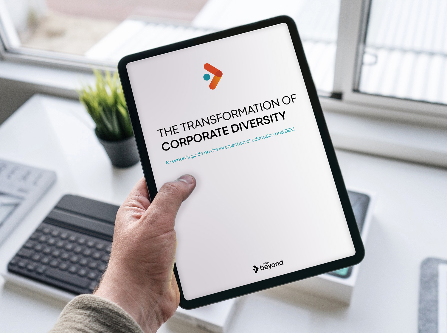 The Transformation of Corporate Diversity eBook